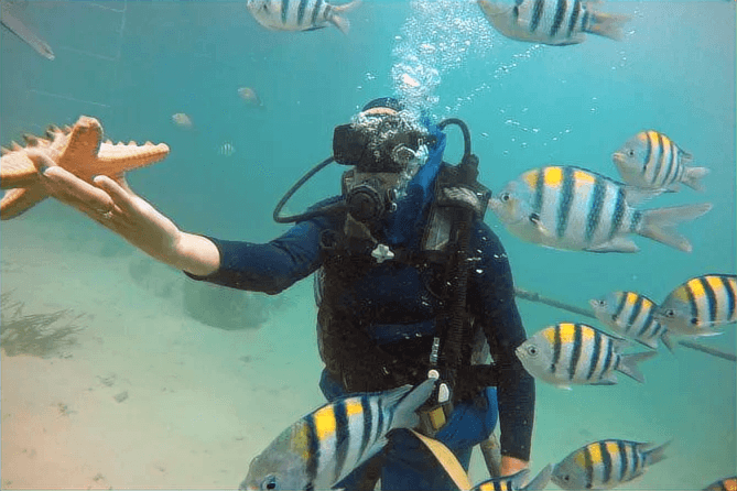After: Underwater diving photo enhancement 1000