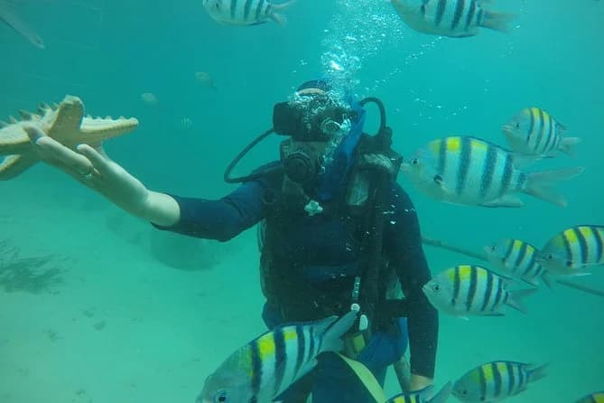 Before: Underwater diving photo enhancement 1000